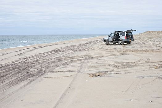 Водитель иномарки наехал на голову женщины на пляже в Новосибирске