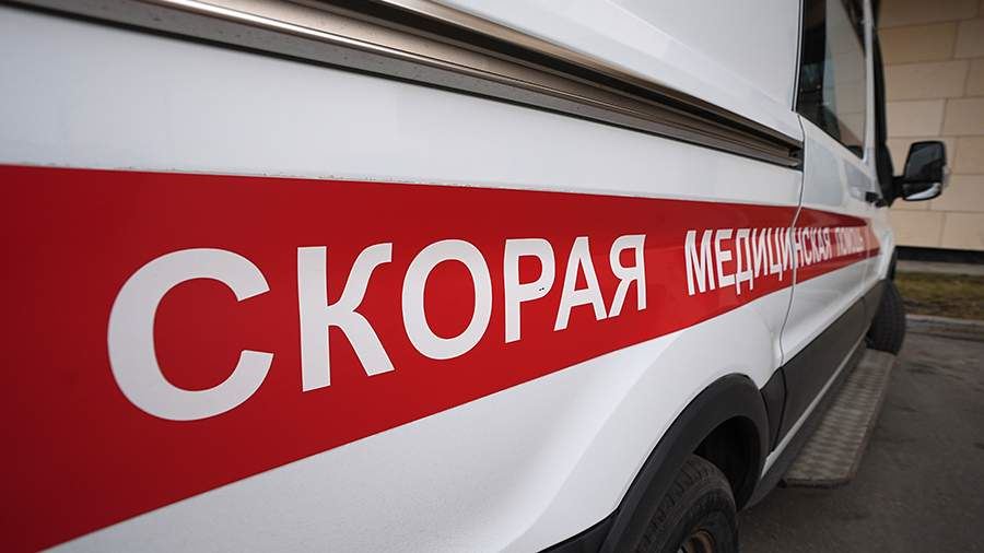 В Алтайском крае три человека погибли из-за столкновения авто с косулей